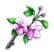 blossombranch.png