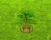 bluebanana_upgrade_2.gif