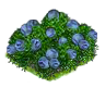 blueberry_Icon.png