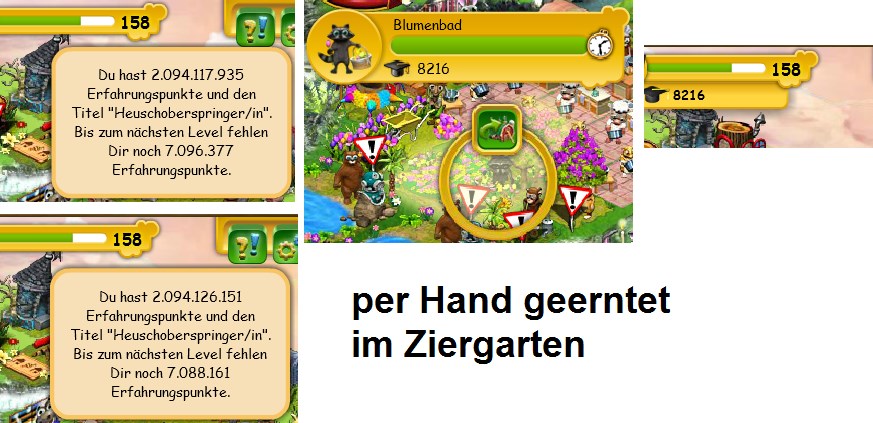Blumenbad per Hand im Ziergarten.jpg