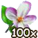 Blumenblüte 100.png