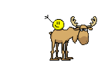 blumenfrdich.gif