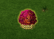 Bluteiche XXL.gif