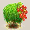 Bocksdorn-Beere.png