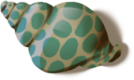 bonusshell[1].png