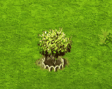 bottlebrush_upgrade_1.gif