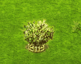 bottlebrush_upgrade_2.gif
