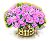 bougainvillea_upgrade_2_Icon.png