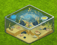 boxfish_upgrade_1.gif