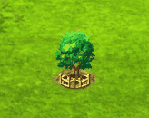brachychiton_upgrade_2.gif