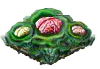 braincauli_Icon.png