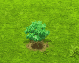 brazilianpotato_upgrade_0.gif