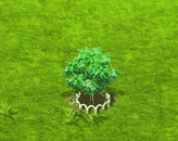 brazilianpotato_upgrade_1.gif