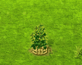 breadnut_upgrade_2.gif