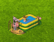 breedingaug2024pool.gif