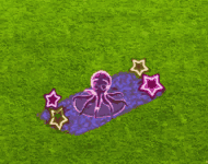 breedingjan2026octopus.gif