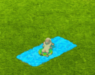 breedingnov2024submarine.gif