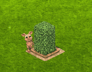 breedingqsep2023q2croc.gif