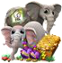 breedingsep2017basket3[1].png