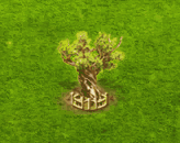 bristleconepine_upgrade_2.gif