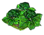 broccoli_Icon.png