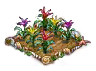 bromeliad.png