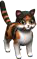 calicoFeline.png