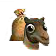 camelfeed.png