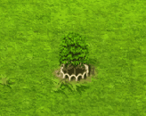 candlenut_upgrade_1.gif