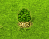 candlenut_upgrade_2.gif