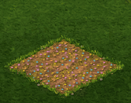 candyflower.gif
