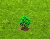 caoba_upgrade_0.gif
