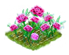carnation_Icon.png
