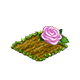 carnivalnov2021fragrantplum.png