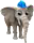 carpenterElephant.png
