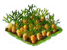 carrot_Icon.png