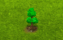 caryaovata_upgrade_0.gif