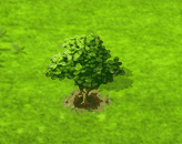 cashew_upgrade_0.gif