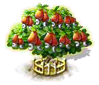 Cashewbaum xxl.png
