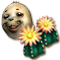 cd2c0a64dee3238af48ac95a6be467025a93c9db[1].png
