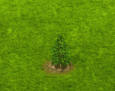cedrus_upgrade_0.gif