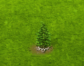cedrus_upgrade_1.gif