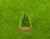 cedrus_upgrade_2.gif