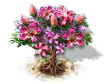 ceiba_upgrade_0.png