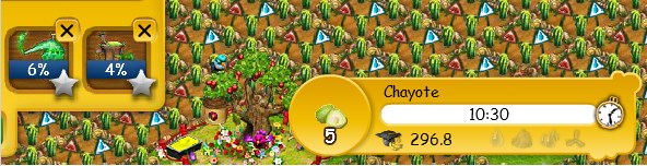 Chayote 01.jpg