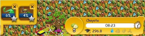 Chayote 02.jpg