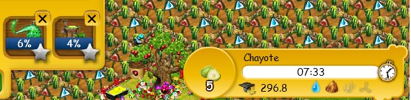 Chayote 03.jpg
