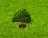 chequer_upgrade_0.gif