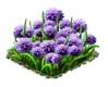 chives.png