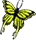 citrusButterfly[1].png
